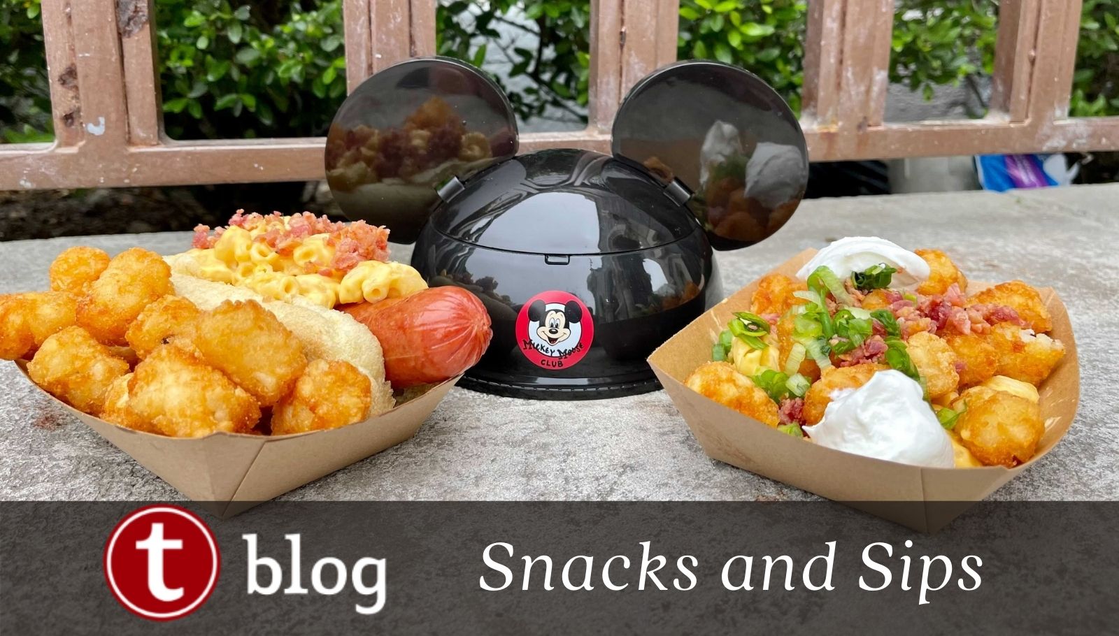 REVIEW Friars Nook Brings New Comfort Food To Magic Kingdom