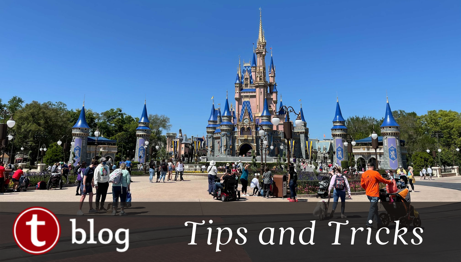 6 Disney Trip Photography Essentials - Don't Just Fly
