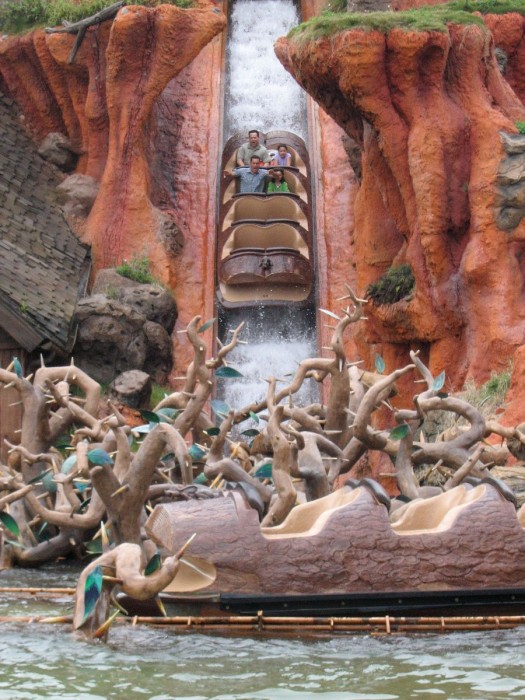 splash mountain disneyland log