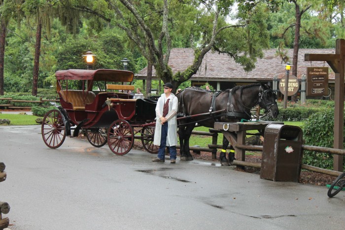 Fort wilderness wagon sales ride