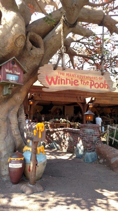 the many adventures of winnie the pooh disney world