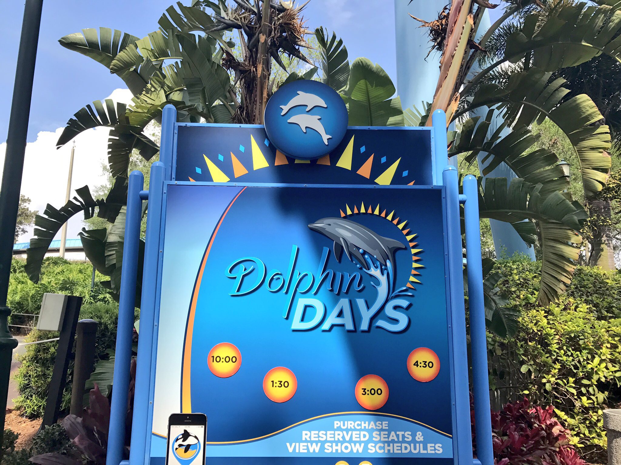 VIDEO: New Dolphin Days show replaces Blue Horizons at