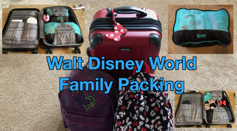 Best bag for discount disney world 2018