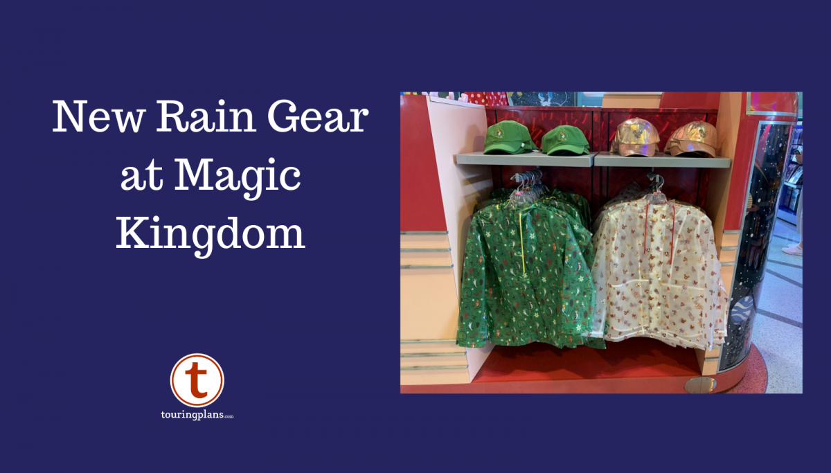 Disney World in the Rain Poncho vs. Umbrella vs. Jacket TouringPlans