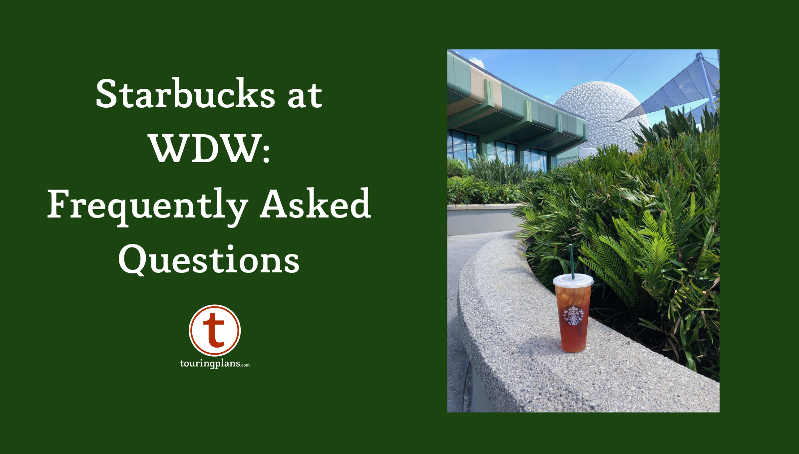 Complete Guide to Starbucks at Disney World