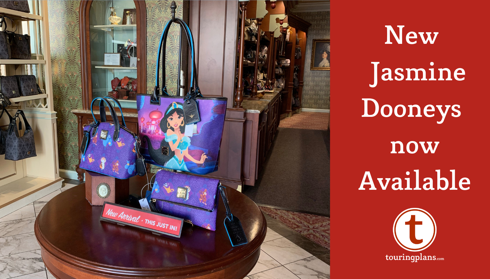 Dooney & Bourke Disney Princess Collection Arrives on shopDisney