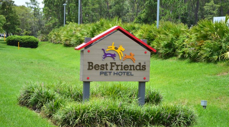 Doggy Cay Camp - Best Friends Pet Care - Lake Buena Vista, FL