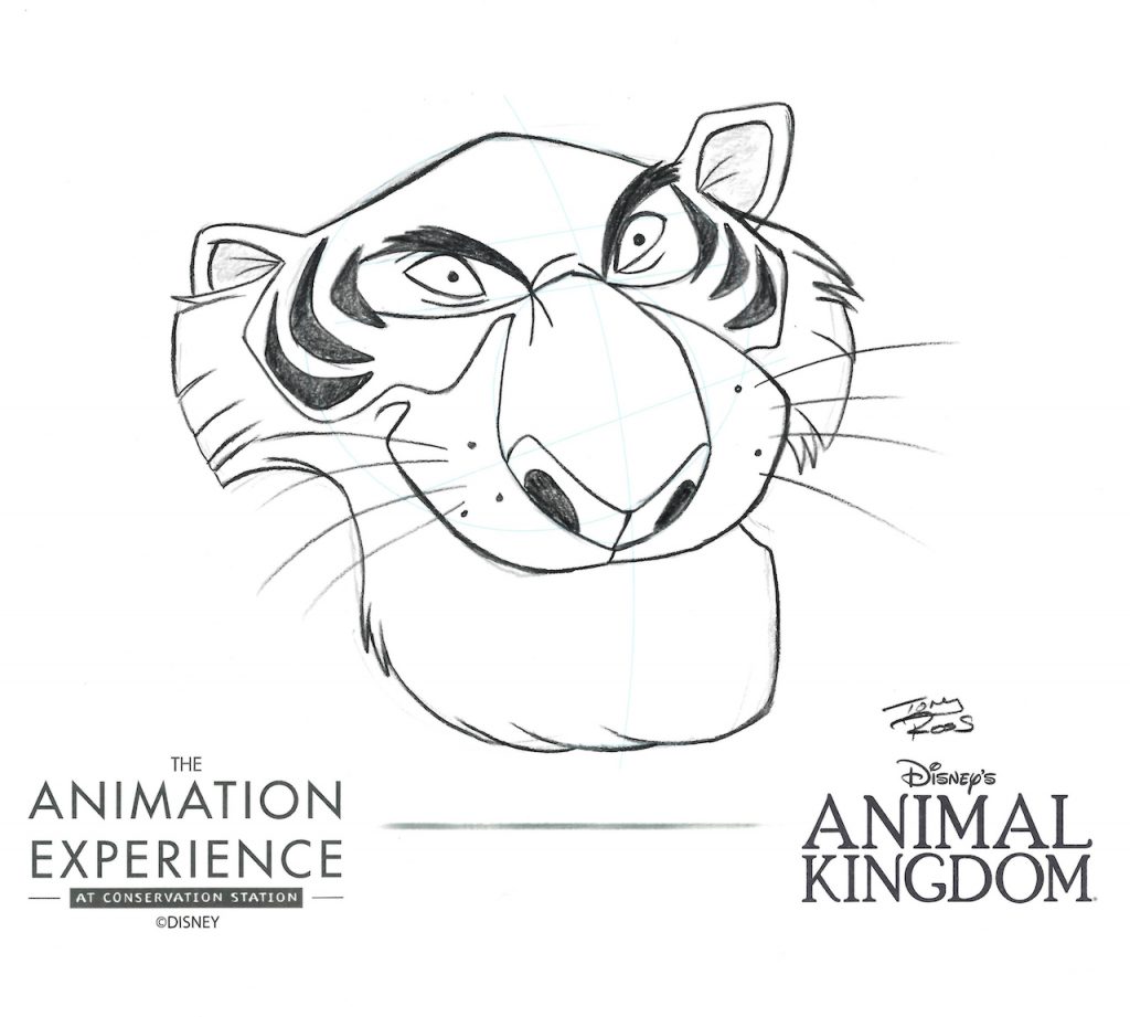 3720  Disneys Animal Kingdom Sketches  Ink on recycled   Flickr