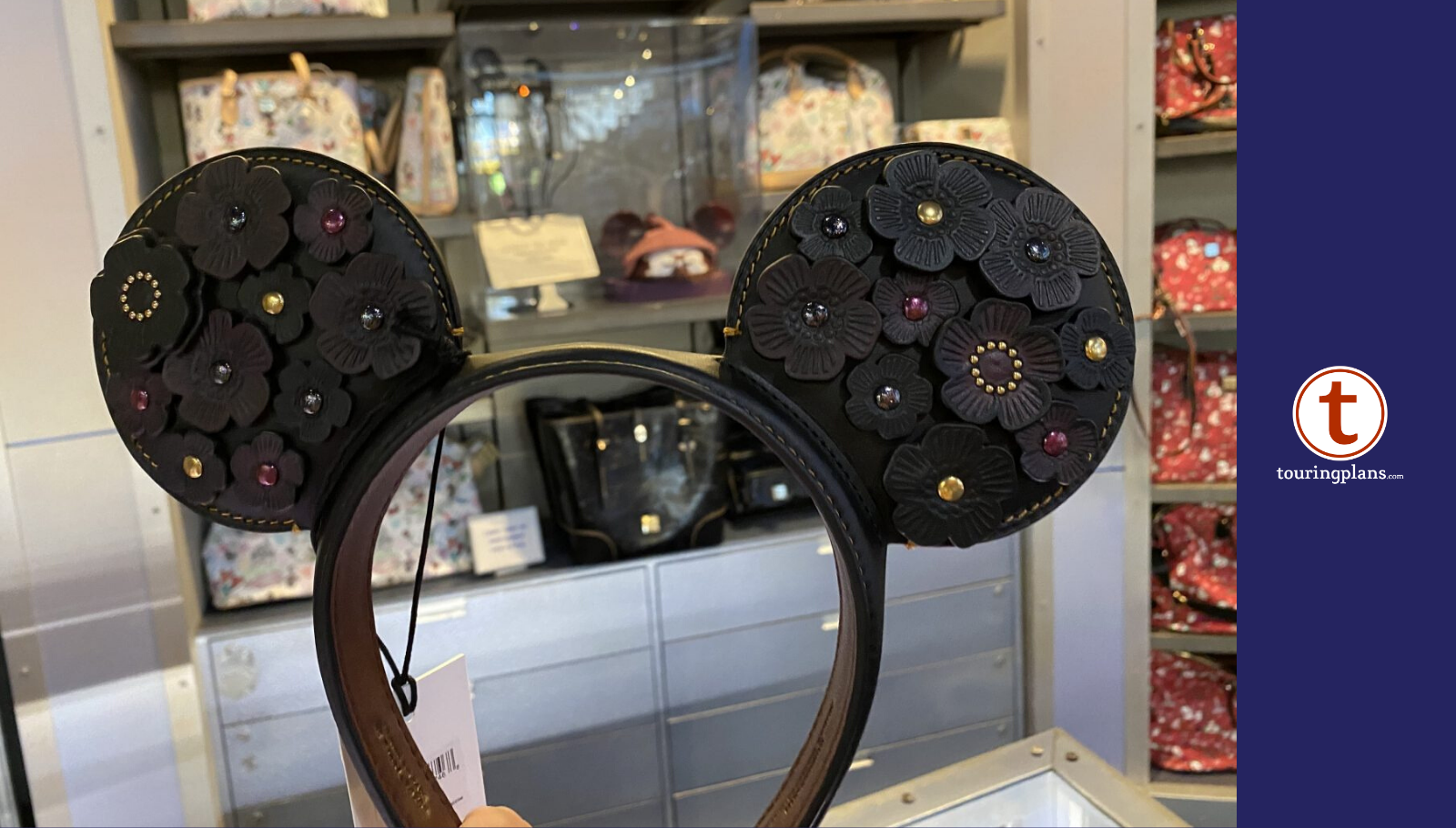 Designer Mouse Ears by COACH Now Available