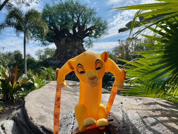 New Simba Popcorn Bucket Makes Royal Arrival at Disney's Animal