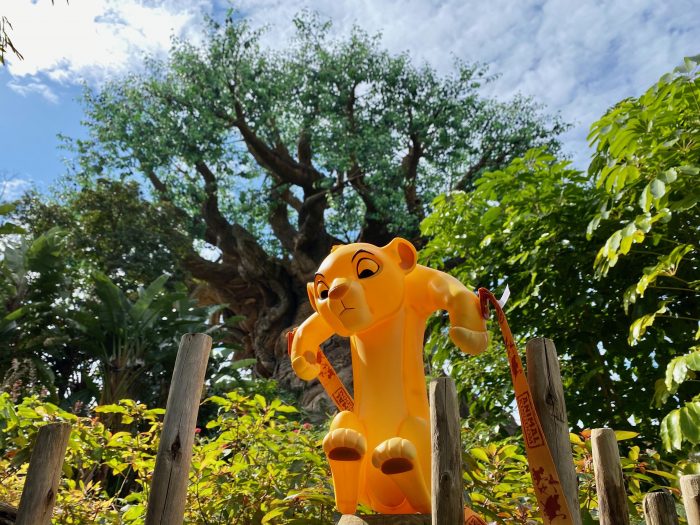 Baby Simba Souvenir Popcorn Bucket Stumbles Into Animal Kingdom