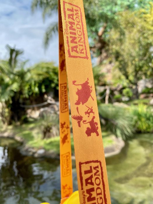 Baby Simba Souvenir Popcorn Bucket Stumbles Into Animal Kingdom