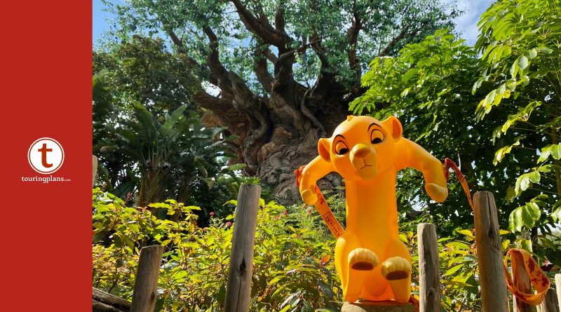 Lion King Popcorn Bucket Arrives at Disney's Animal Kingdom