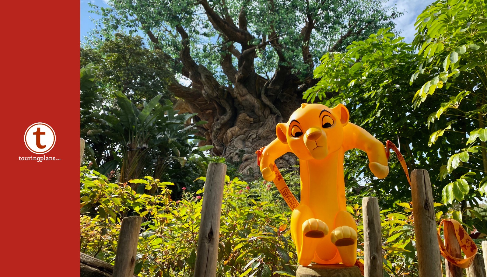 Baby Simba Souvenir Popcorn Bucket Stumbles Into Animal Kingdom