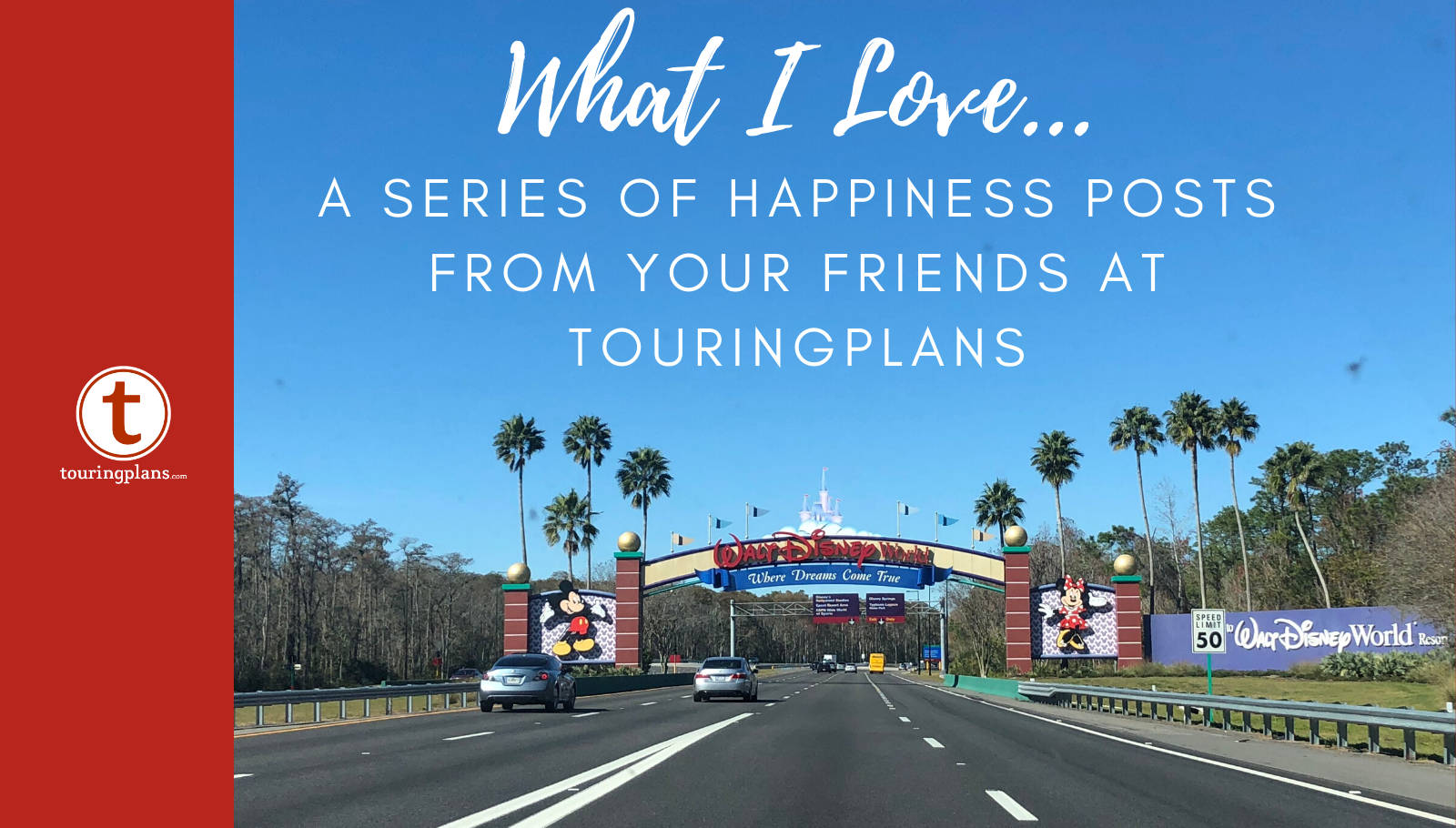 How to Plan a Trip to Disney World for Adult Families - Periodic Adventures