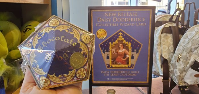 Rowena Ravenclaw Harry Potter Chocolate Frog Wizard Card UNIVERSAL