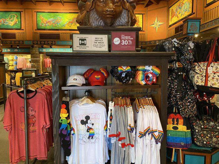Disney Home Repeatables Collection Now Available At Walt Disney World and  shopDisney 