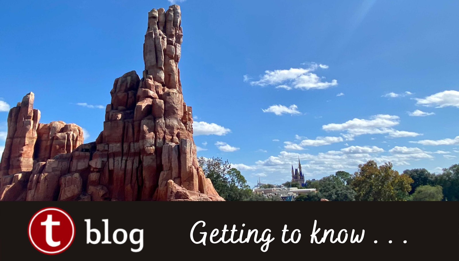 Walt Disney World Railroad Overview  Disney's Magic Kingdom Attractions -  DVC Shop