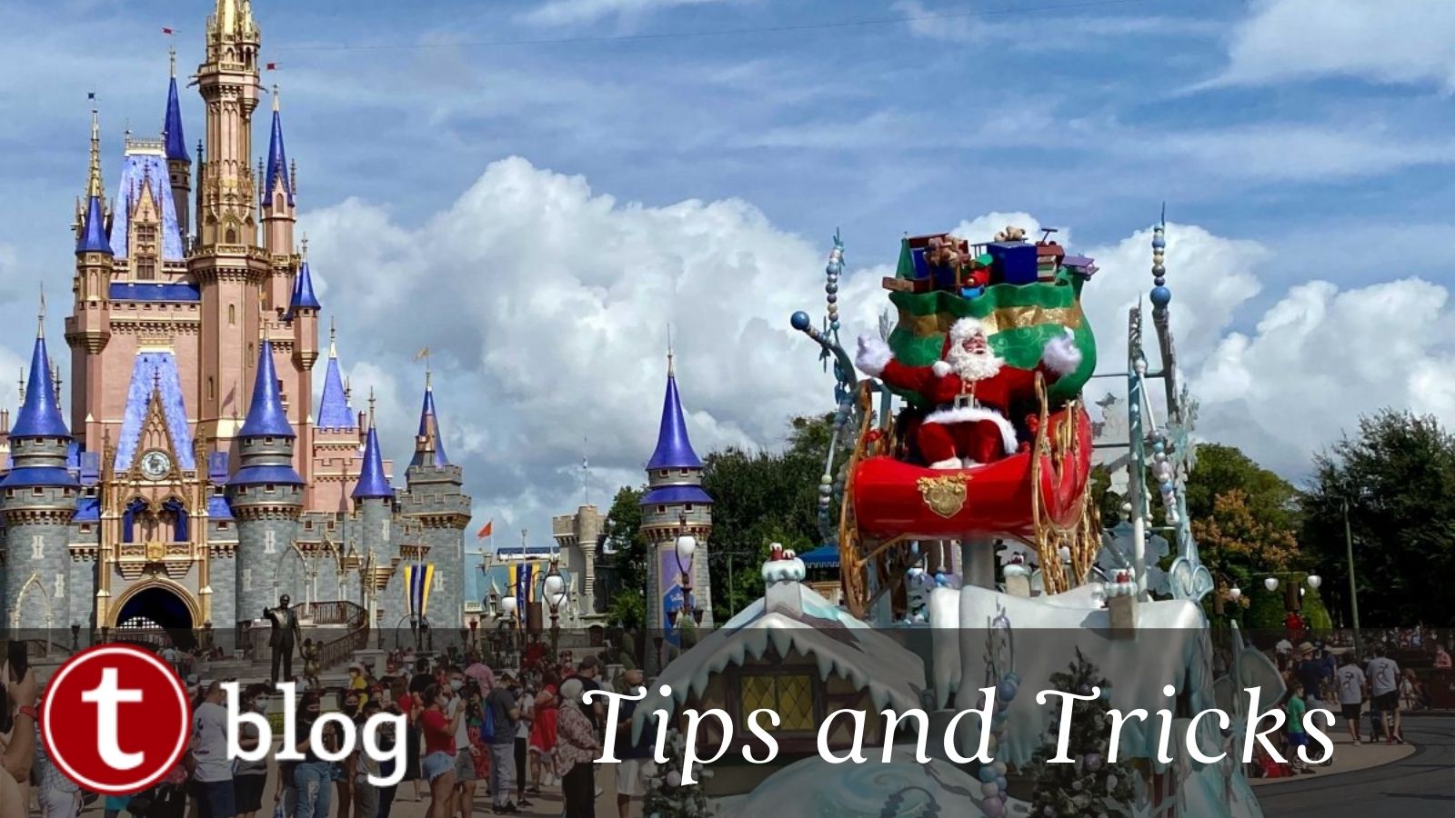 Disney World For Adults: Tips - Part 1, Travels