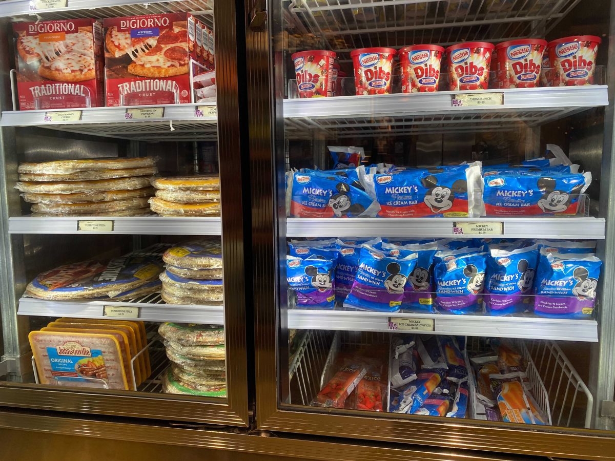 https://touringplans.com/blog/wp-content/uploads/2020/12/Frozen-Groceries-in-Cooler-at-Disneys-Wilderness-Lodge-1200x900.jpg