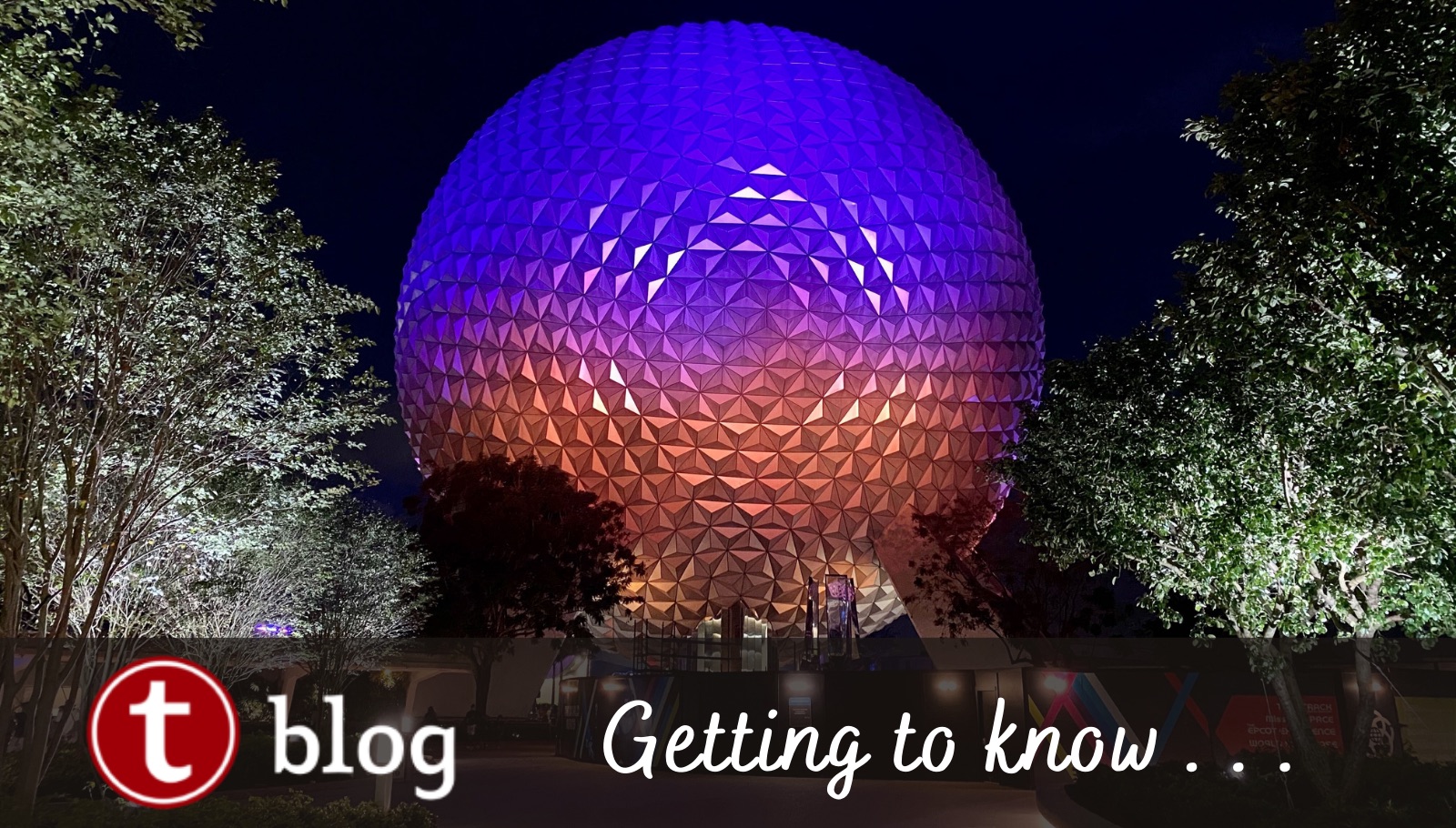 Pros And Cons Of Disney World Travel During COVID | TouringPlans.com Blog