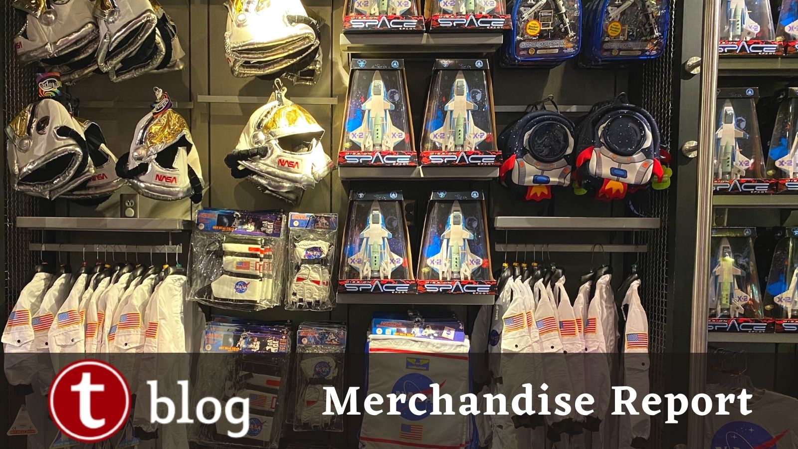 10 Budget-Friendly Walt Disney World Souvenirs