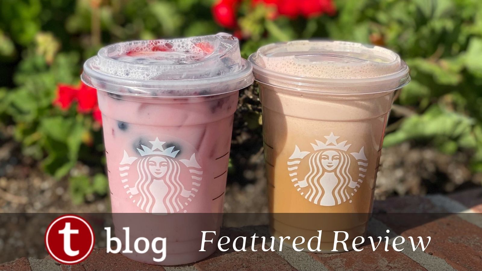 REVIEW – Elf Fuel Specialty Drink at Starbucks Disney Springs