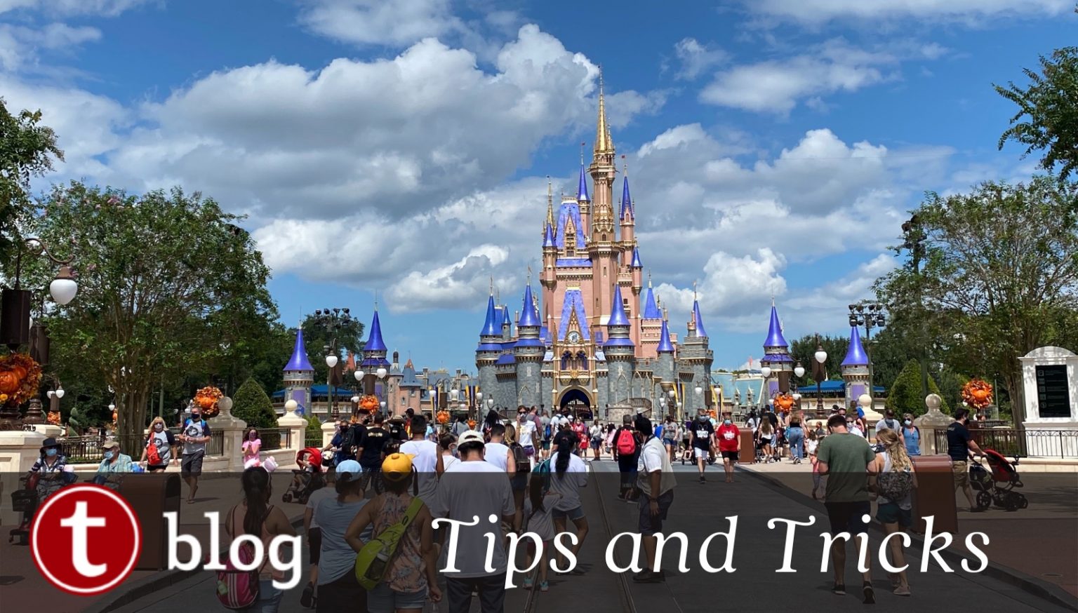 Who Are the Best Disney World Travel Agents