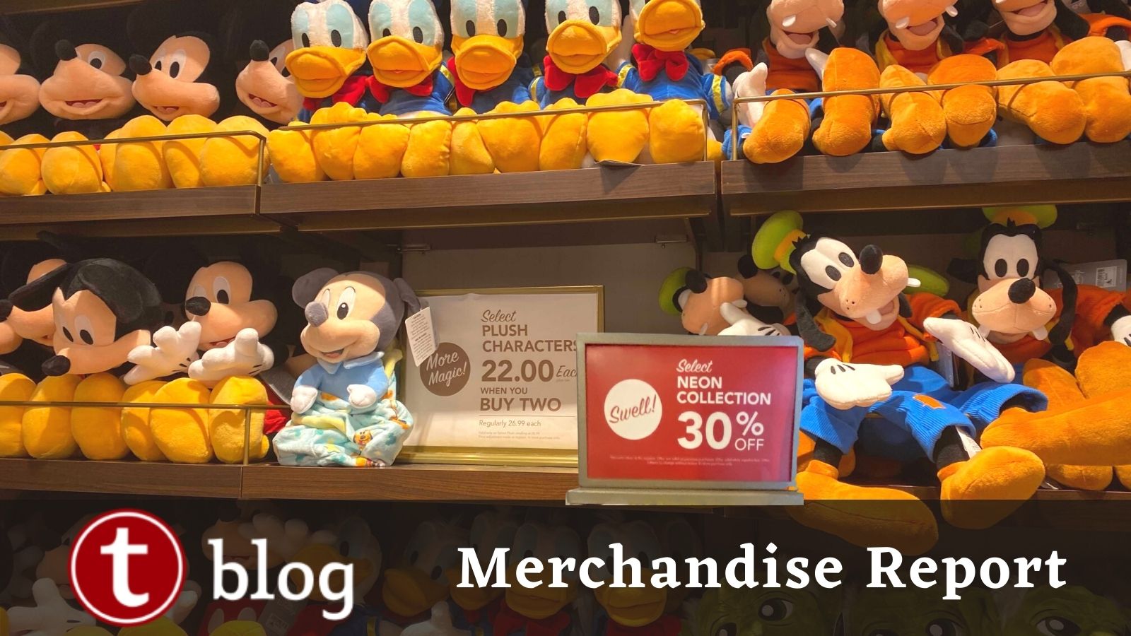 Expert Disney Souvenir Tips: Get The Best Value At The Parks - DVC Shop