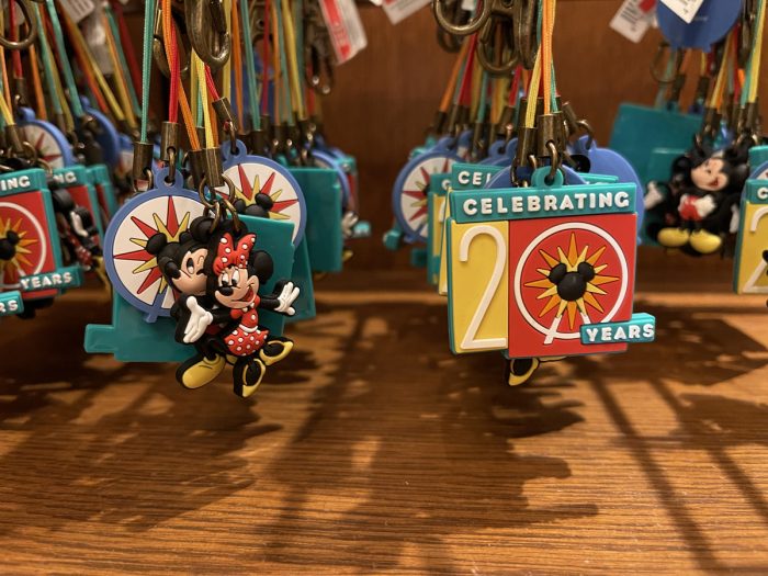 Best Souvenirs to Buy in Disneyland and Disney's California Adventure 