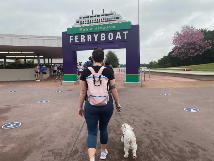 Disney with a Service Dog (Universal Studios, too!)