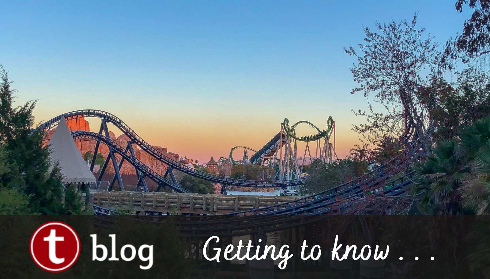 THE BIG 5: Top five Universal Orlando items found on