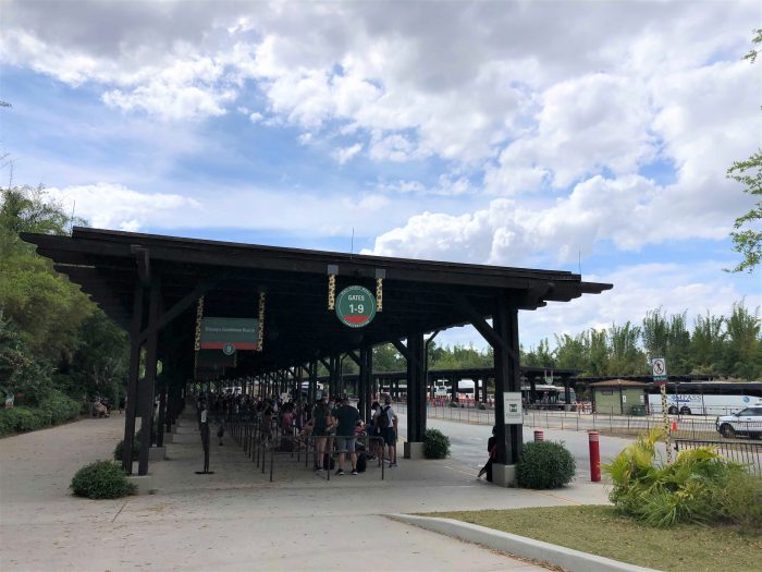 Let's Look at the Disney Bus Terminals at Each Theme Park and Disney  Springs