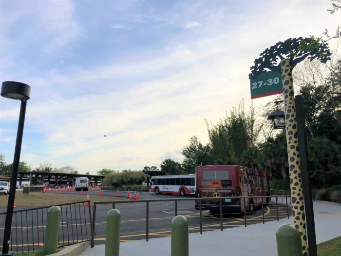 Let's Look at the Disney Bus Terminals at Each Theme Park and Disney  Springs