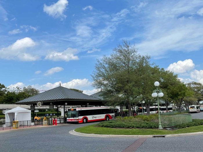 Let's Look at the Disney Bus Terminals at Each Theme Park and Disney  Springs