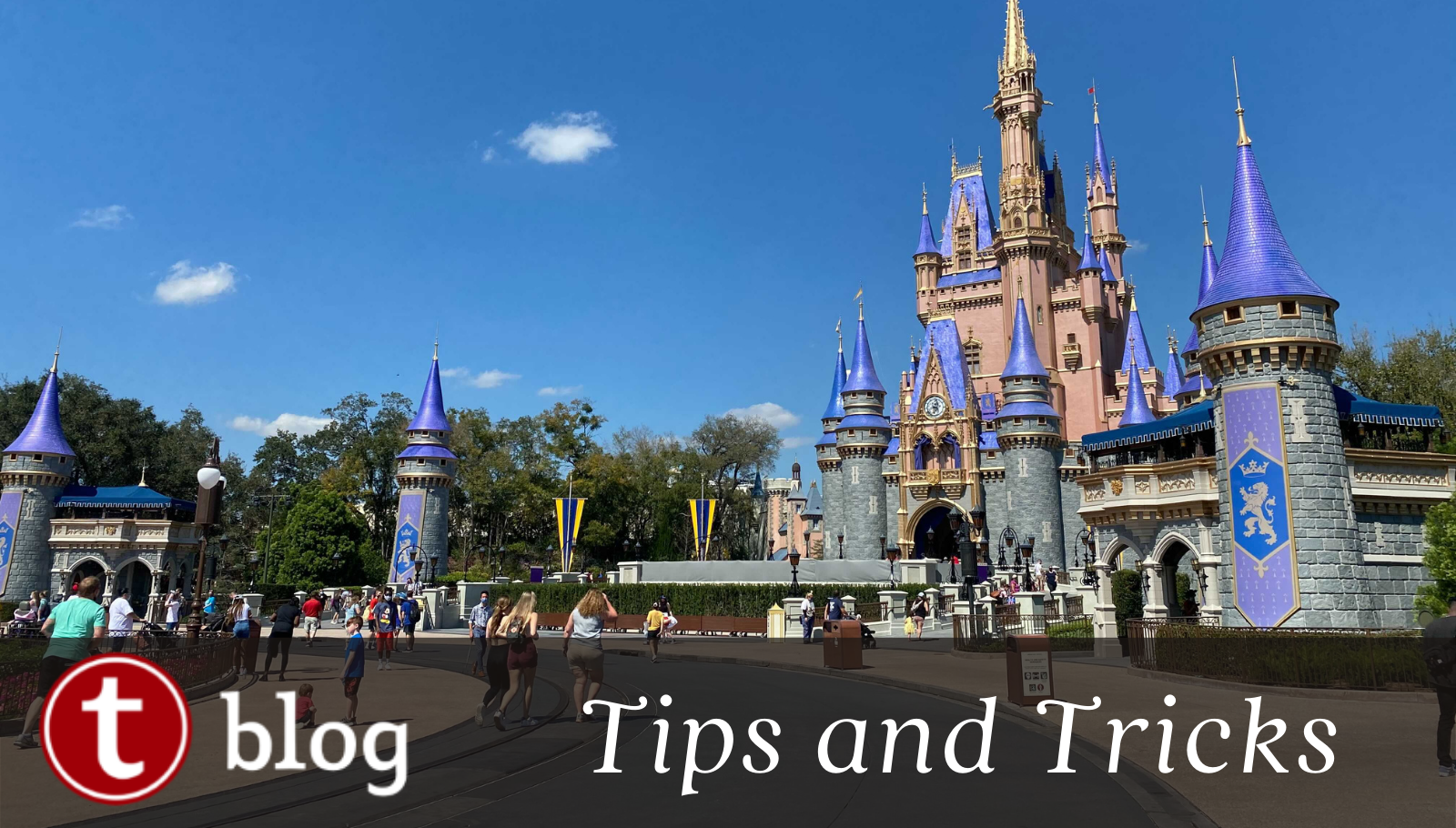 How to Make Disneyland Park Reservations - Disney Tourist Blog