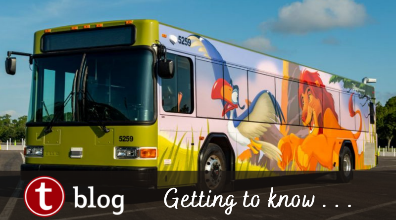 Walt Disney World Bus Transportation: Everything You Need To Know