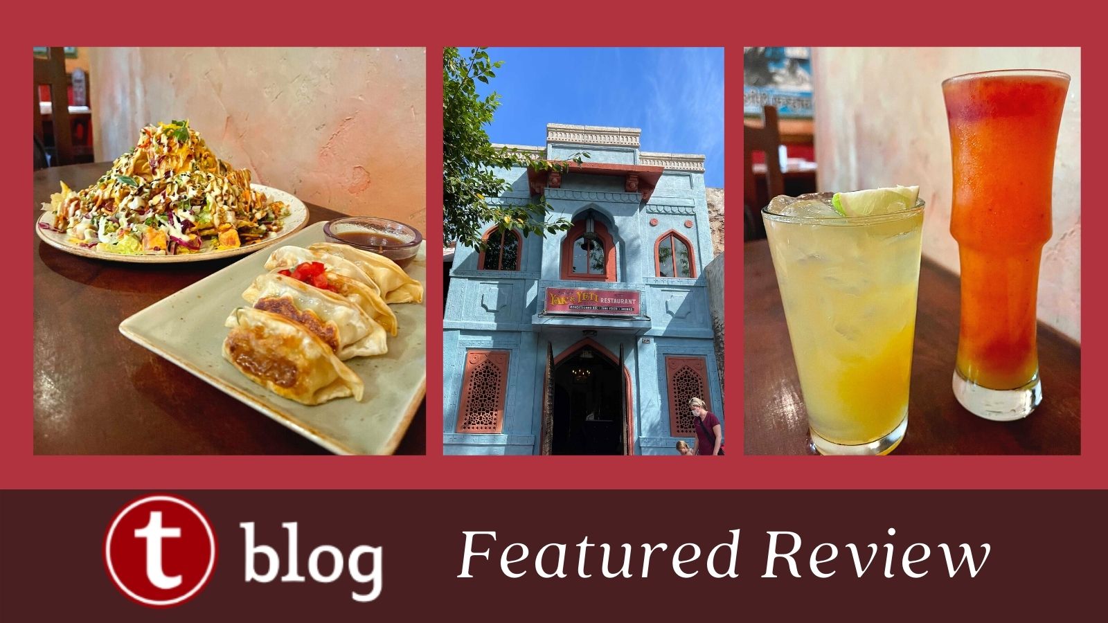 MickeyBlog Restaurant Review: Yak & Yeti 