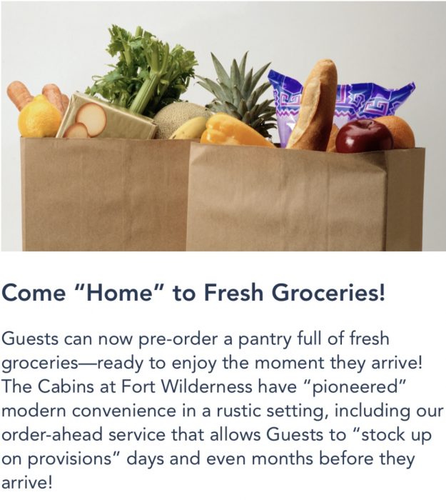 Fresh Grocery Delivery: The Pros & Cons