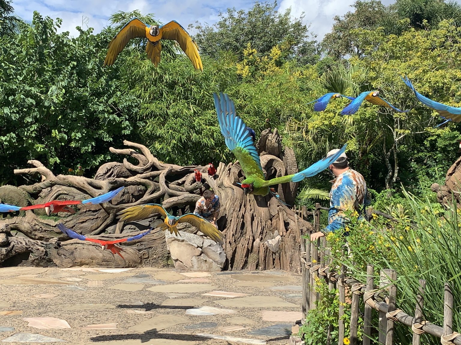 60 Things to Do at Disney’s Animal Kingdom Without Going on Rides ...