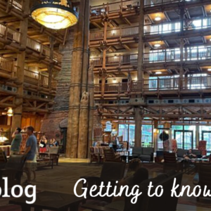 What It's Like to Stay at Disney's Wilderness Lodge at Christmas - Jen  Elizabeth's Journals