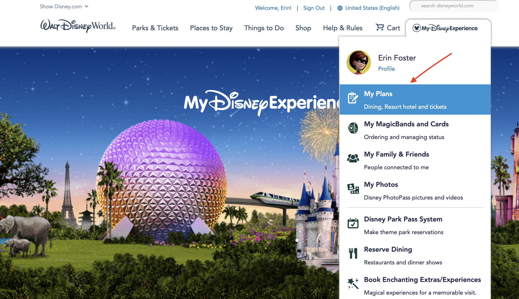 NEWS: The Disney World App Now Has a Link To Make Park Pass Reservations