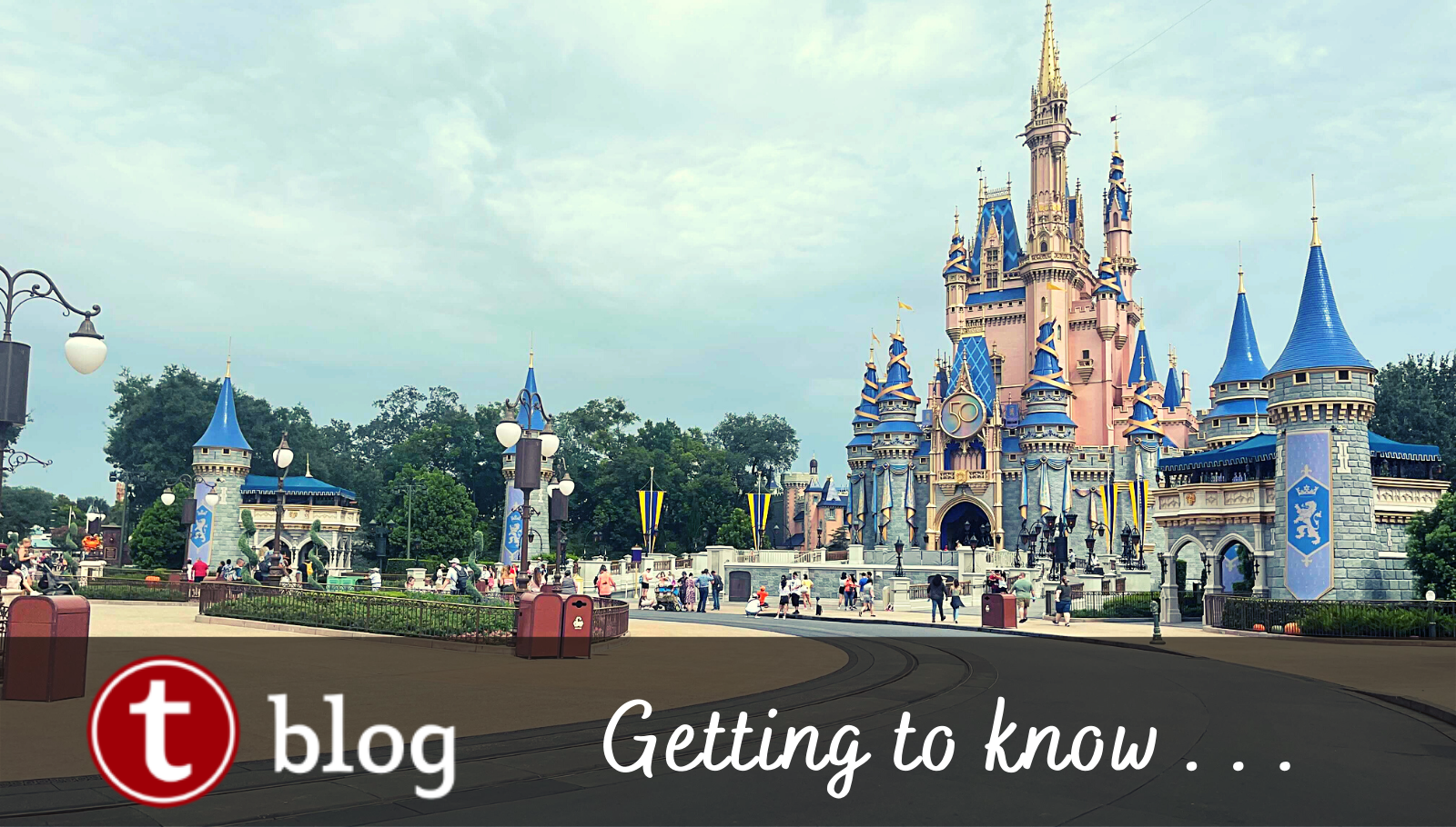 Your Step-by-Step Guide to Making a Disneyland Park Pass Reservation