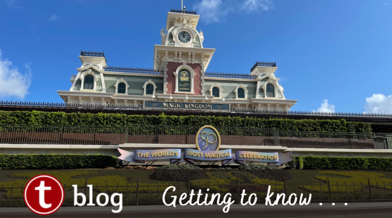 Overview of Disney World's Disability Access Service (DAS)