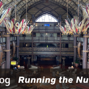 How many hotel nights can you get for your budget cover image showing the lobby of Animal Kingdom Lodge