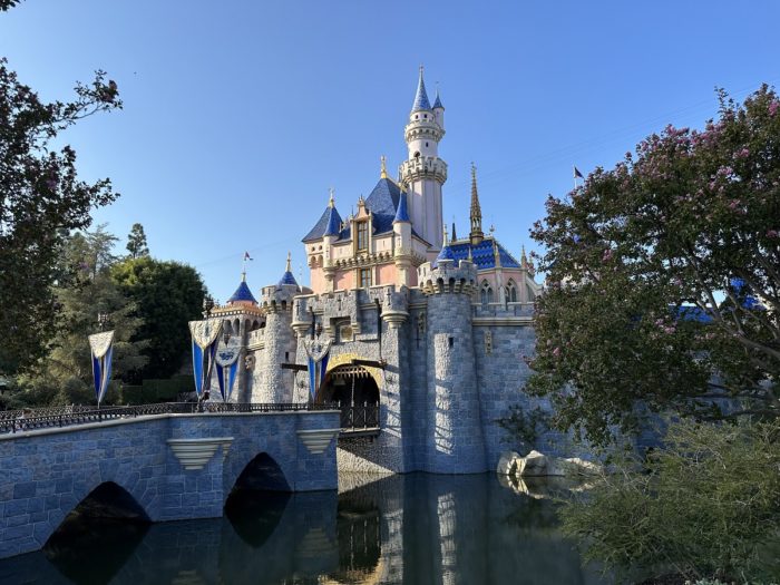 Complete Guide to Disney for Adults: Disneyland or Disney World