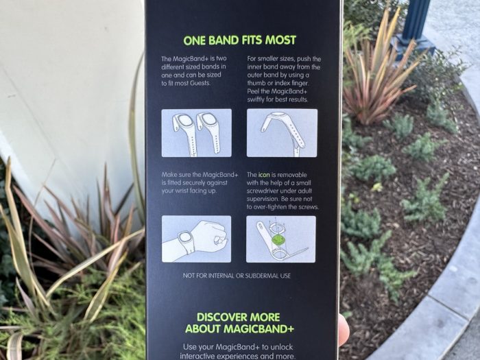 Magic Band Plus: Is It Worth It? - Cuisine And Travel