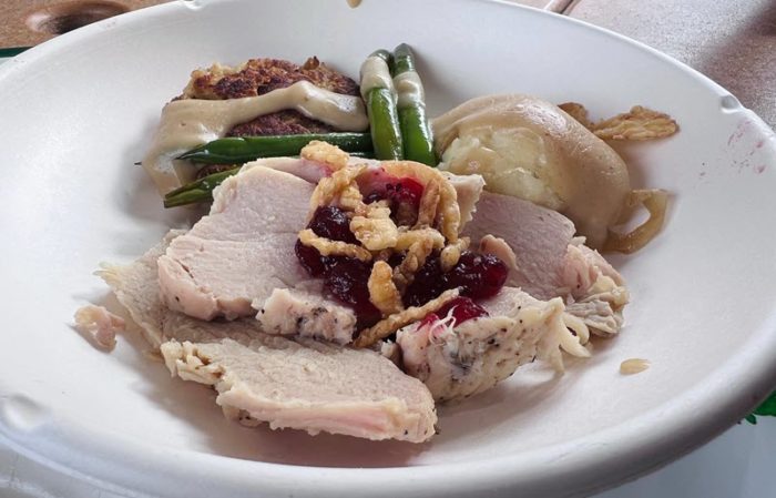 Slices of turkey on a white plate with french fried onions in the center atop a small spoonful of cranberry sauce. Green beans and gravy are placed toward the back of the dish along with mashed potatoes and a browned cake of stuffing
