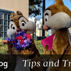 Last-minute romance at Disney World cover showing Chip and Dale examining flowers and holding a book.