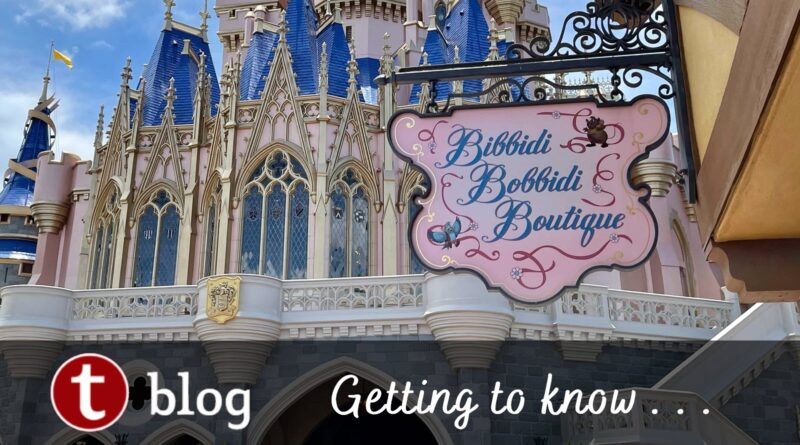 Getting to Know Bibbidi Bobbidi Boutique cover image showing the shop sign framed against Cinderella Castle